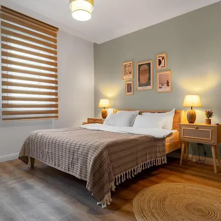 公寓 Luxury Scandinavian Design 2br Duplex Near Tomtom 伊斯坦布尔